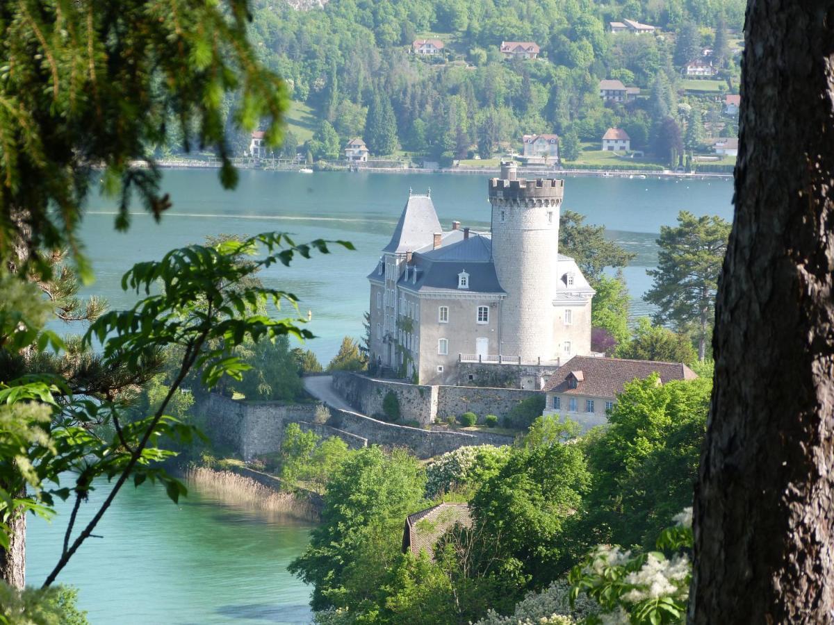 Logement Atypique Avec Vue Unique Panoramique Sur Le Lac D'Annecy, Dans Une Residence Avec Plage Et Ponton Privee Sur La Commune De ดูแอ็งต์ ภายนอก รูปภาพ
